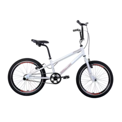 Bicicleta Juvenil Aro 20 Furion Prata Fr202S - Houston Bike (652251)