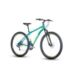 Bicicleta netuno 29 Aco Verde Metalico - Houston (655521)